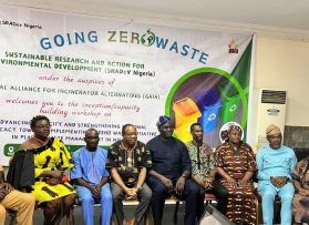 Advancing Capacity and Strengthening National Advocacy Towards Implementing a Zero Waste Initiative in Plastic Waste Management in Nigeria